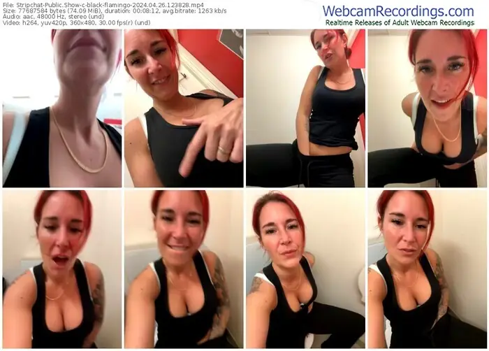 stripchat-black-flamingo-04-26-2024-12-38-28