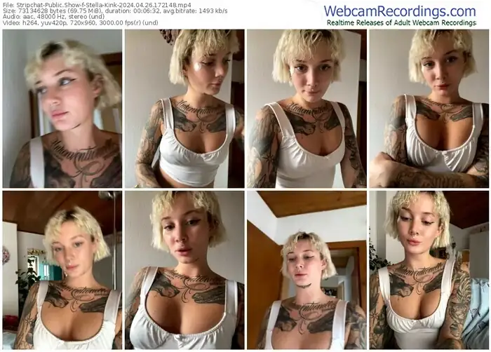 stripchat-stella-kink-04-26-2024-17-21-48
