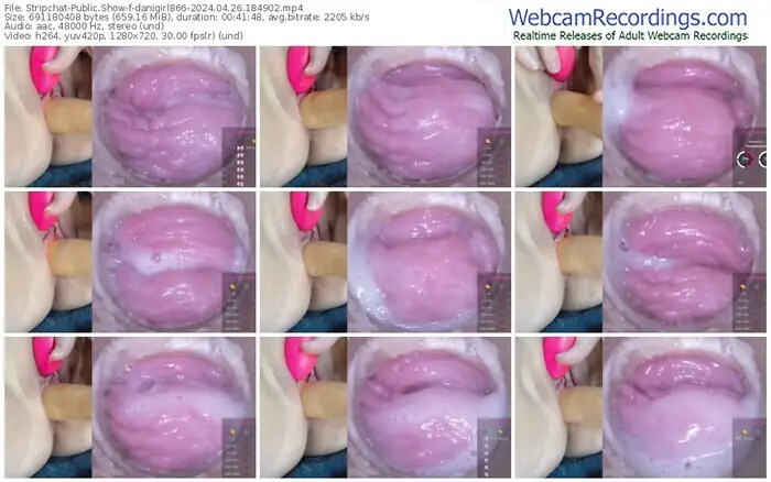 stripchat-danigirl866-04-26-2024-18-49-02