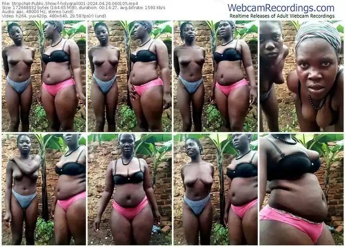 stripchat-holygrail001-04-26-2024-06-01-05