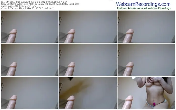 stripchat-misato-jp-04-26-2024-19-23-57