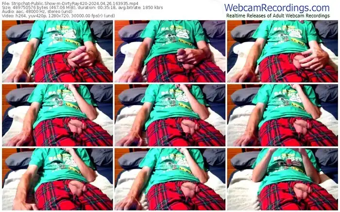 stripchat-dirtyray420-04-26-2024-16-39-35