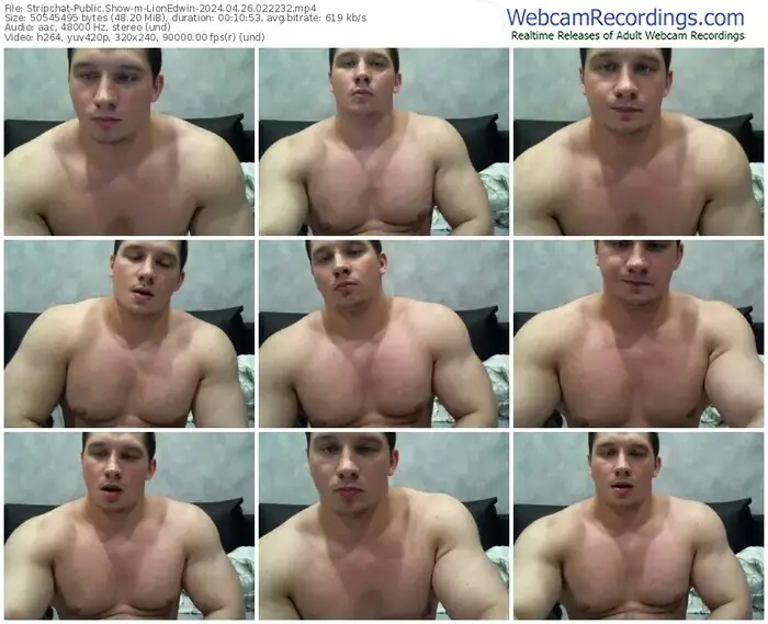 stripchat-lionedwin-04-26-2024-02-22-32