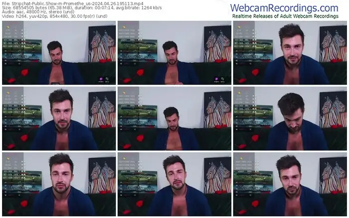 stripchat-promethe_us-04-26-2024-19-51-13