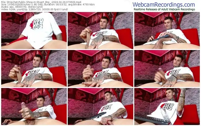 stripchat-stuart_boy_-04-26-2024-07-36-03