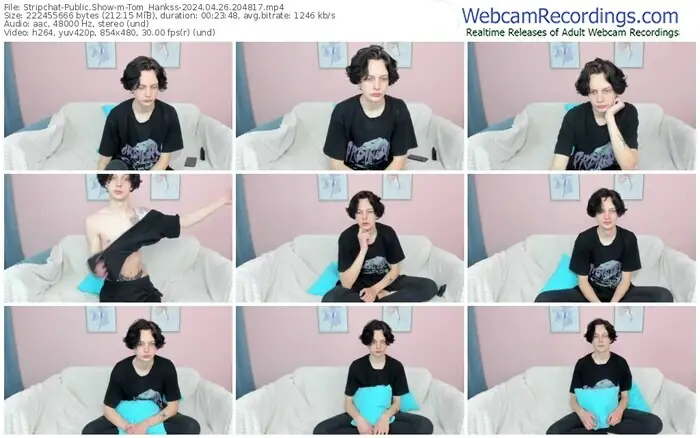 stripchat-tom_hankss-04-26-2024-20-48-17