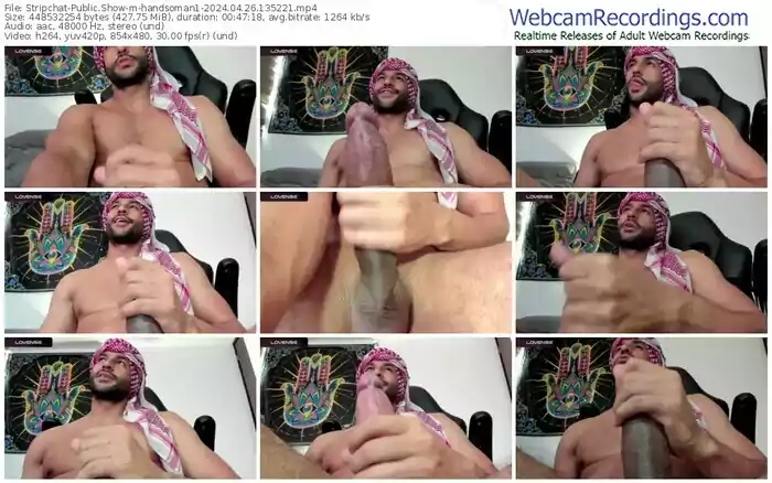 stripchat-handsoman1-04-26-2024-13-52-21