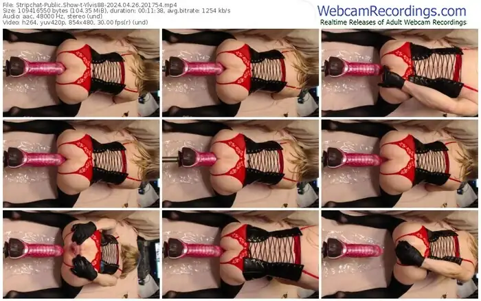 stripchat-ylvis88-04-26-2024-20-17-54
