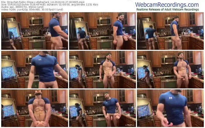 stripchat-alphazack_14-04-27-2024-00-36-05