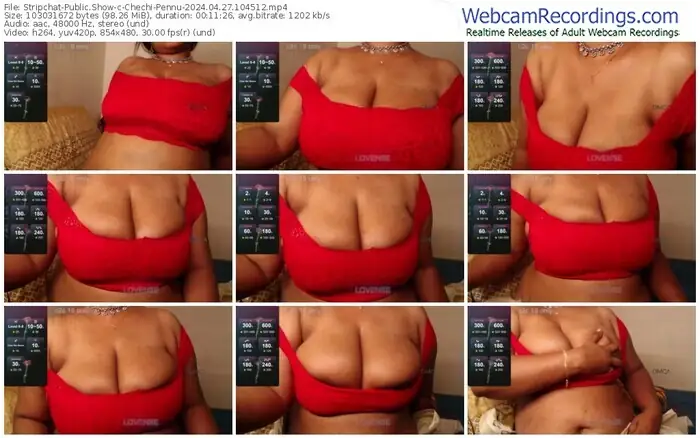 stripchat-chechi-pennu-04-27-2024-10-45-12