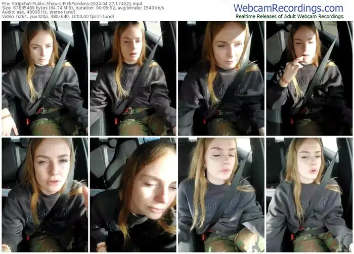 stripchat-pinkpandora-04-27-2024-17-42-21