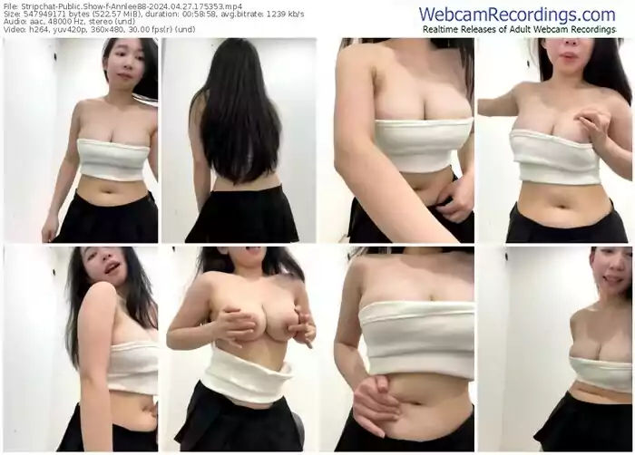 stripchat-annlee88-04-27-2024-17-53-53