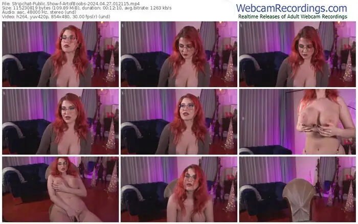 stripchat-artofboobs-04-27-2024-01-21-15