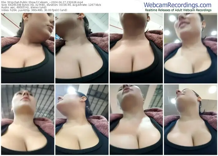 stripchat-celeem_--04-27-2024-23-26-28