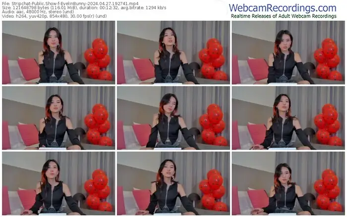 stripchat-evelinbunny-04-27-2024-19-27-41