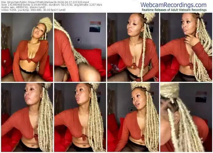 stripchat-prettymellow2k-04-27-2024-22-13-20