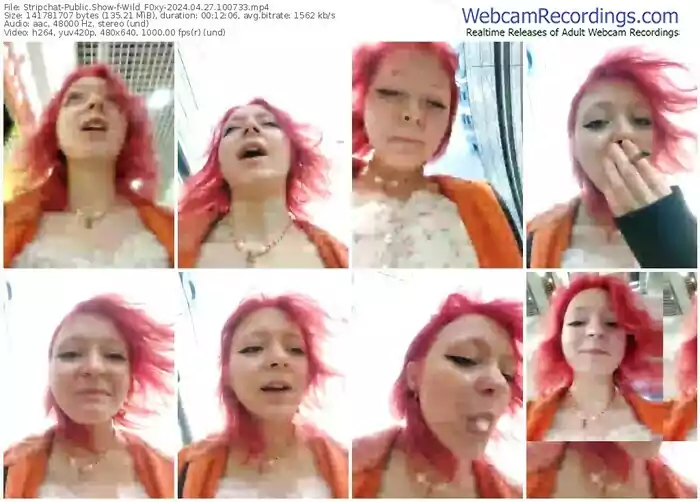 stripchat-wild_f0xy-04-27-2024-10-07-33