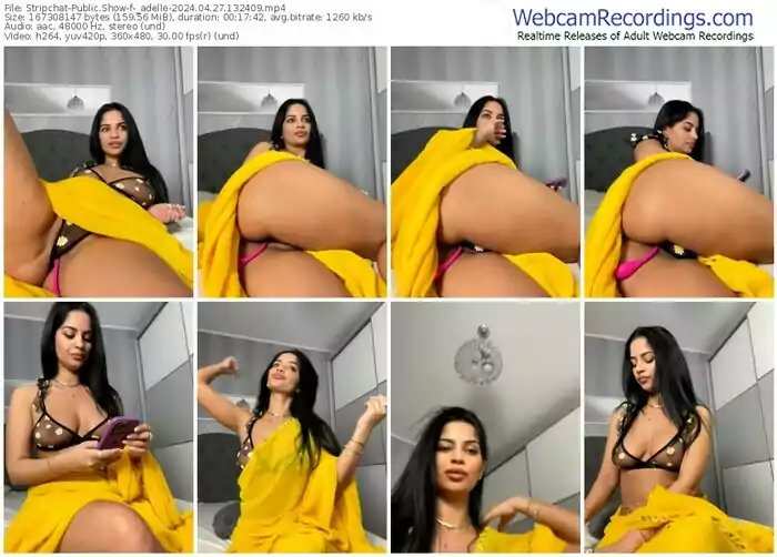 stripchat-_adelle-04-27-2024-13-24-09