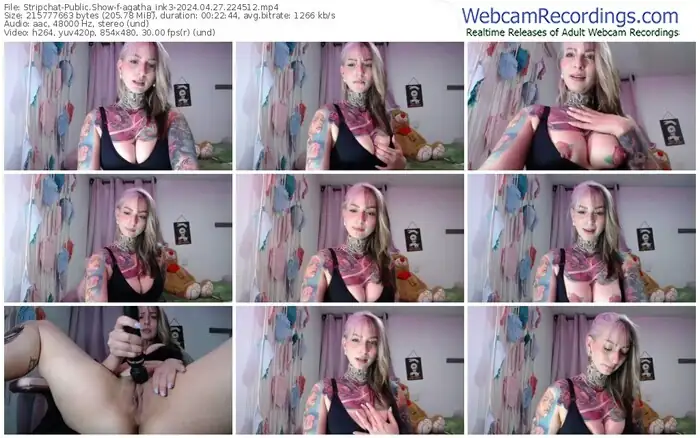 stripchat-agatha_ink3-04-27-2024-22-45-12