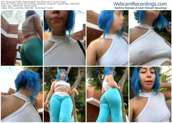 stripchat-gerall_fox-04-27-2024-11-41-02