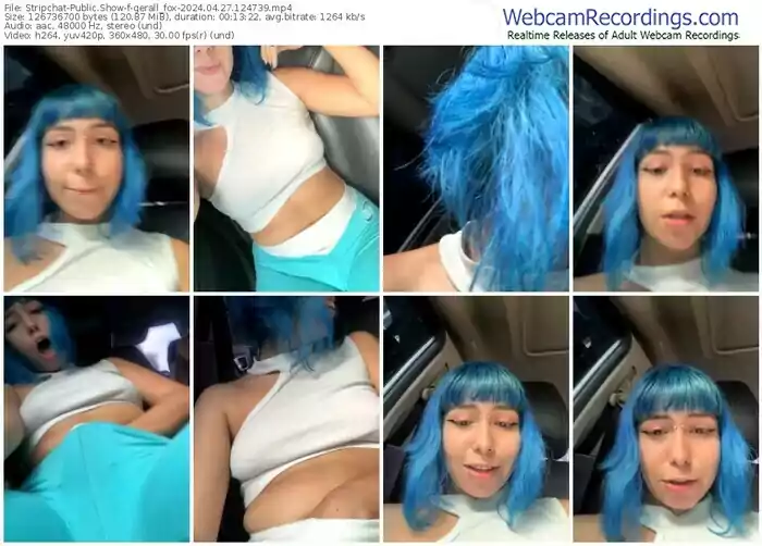 stripchat-gerall_fox-04-27-2024-12-47-39