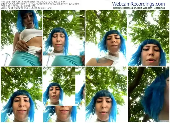 stripchat-gerall_fox-04-27-2024-14-38-13