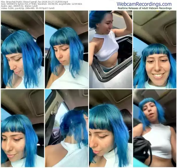 stripchat-gerall_fox-04-27-2024-15-25-59