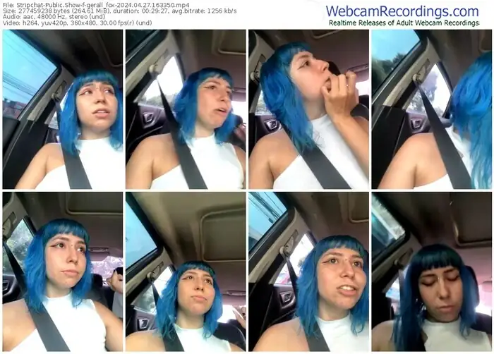 stripchat-gerall_fox-04-27-2024-16-33-50