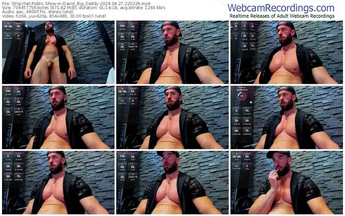 stripchat-david_big_daddy-04-27-2024-22-02-29