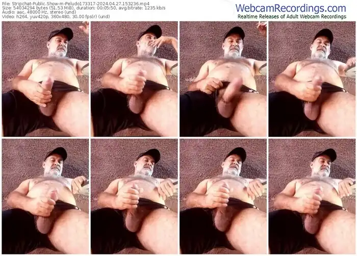 stripchat-peludo173317-04-27-2024-15-32-36