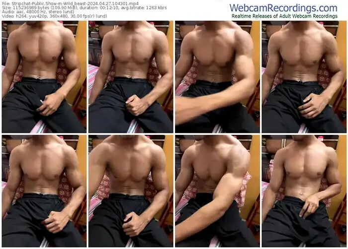 stripchat-wild_beast-04-27-2024-10-43-01