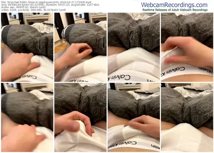 stripchat-gayboyjerry641-04-27-2024-17-54-28