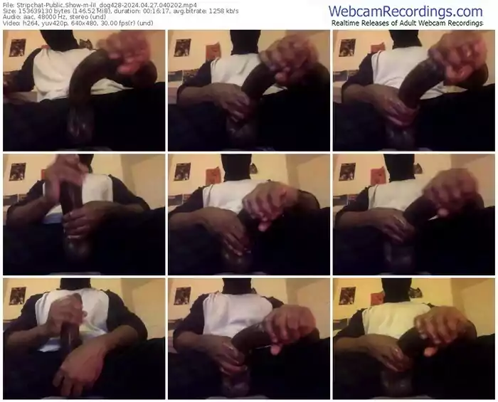 stripchat-lil_dog428-04-27-2024-04-02-02