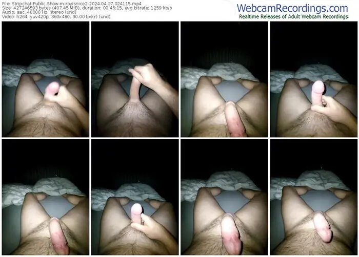 stripchat-royisnice2-04-27-2024-02-41-15