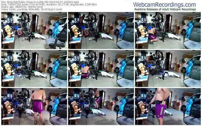 stripchat-ruddy-life-04-27-2024-22-08-24