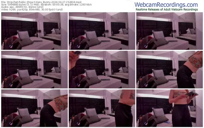 stripchat-haru_bunny-04-27-2024-15-28-04