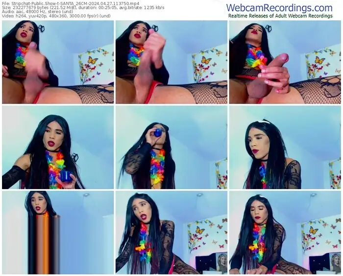 stripchat-santa_26cm-04-27-2024-11-37-50