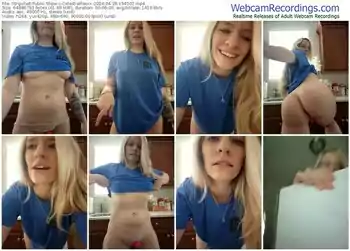 stripchat-celestialfoxxx-04-28-2024-15-45-02