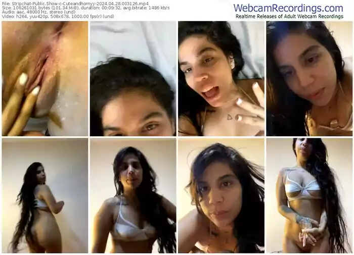 stripchat-cuteandhornyy-04-28-2024-00-31-26