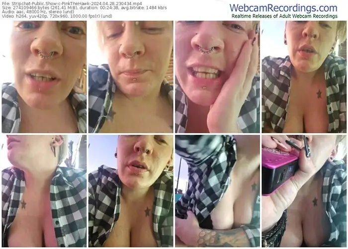 stripchat-pinkthehawk-04-28-2024-23-04-34