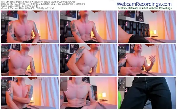 stripchat-pleasure_vibes23-04-28-2024-02-13-24