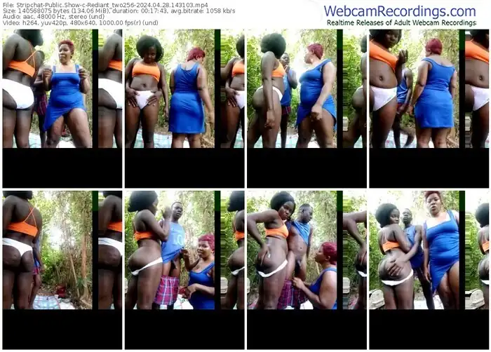 stripchat-rediant_two256-04-28-2024-14-31-03