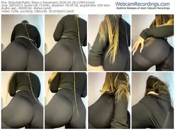 stripchat-seoomarry-04-28-2024-11-56-03