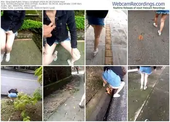 stripchat-snaibest-04-28-2024-15-29-04