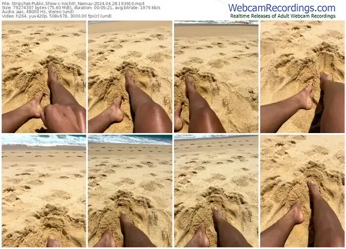 stripchat-xochitl_namuu-04-28-2024-19-39-10