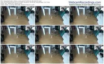 stripchat-nine_switch-04-28-2024-03-22-42