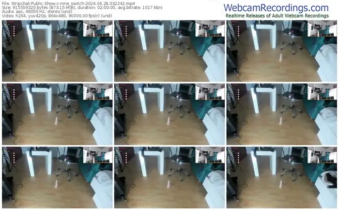 stripchat-nine_switch-04-28-2024-03-22-42