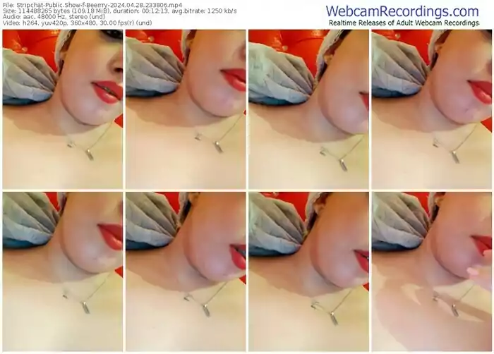 stripchat-beerrry-04-28-2024-23-38-06