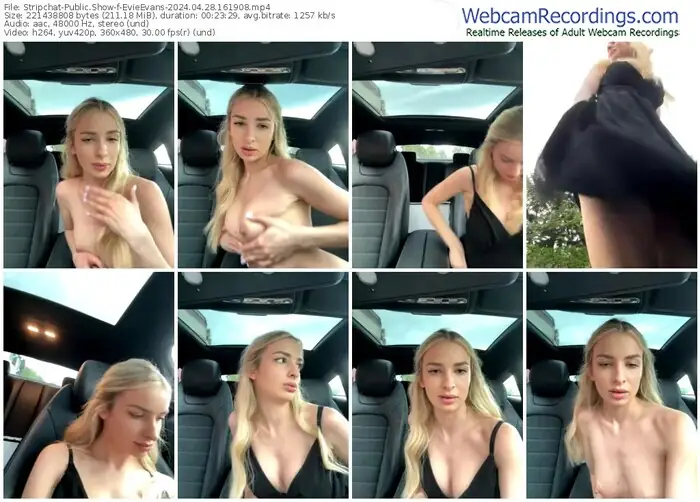 stripchat-evieevans-04-28-2024-16-19-08