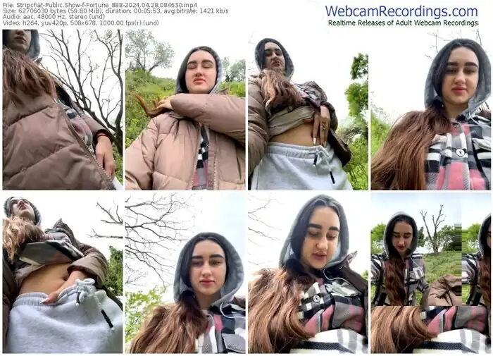 stripchat-fortune_888-04-28-2024-08-46-30